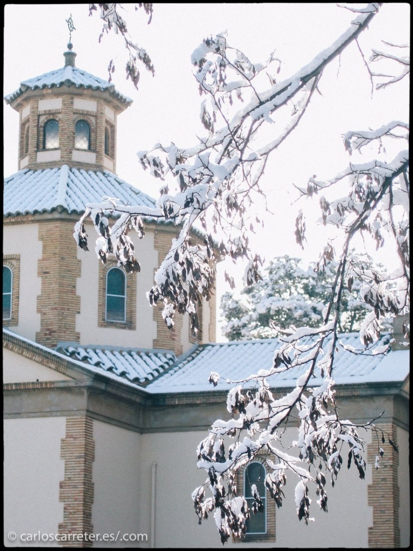 tumblr_og2sh1yl9w1r5mrsgo2_r1_1280