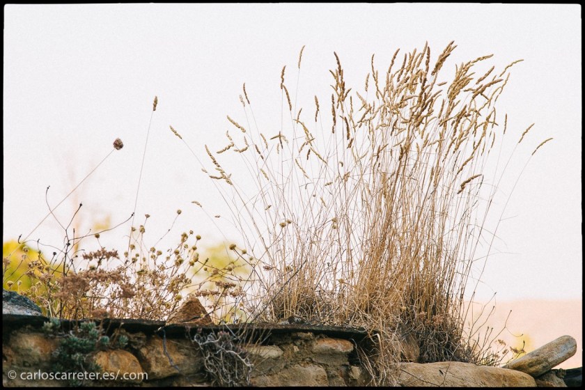 tumblr_og7mkztwtg1r5mrsgo1_1280