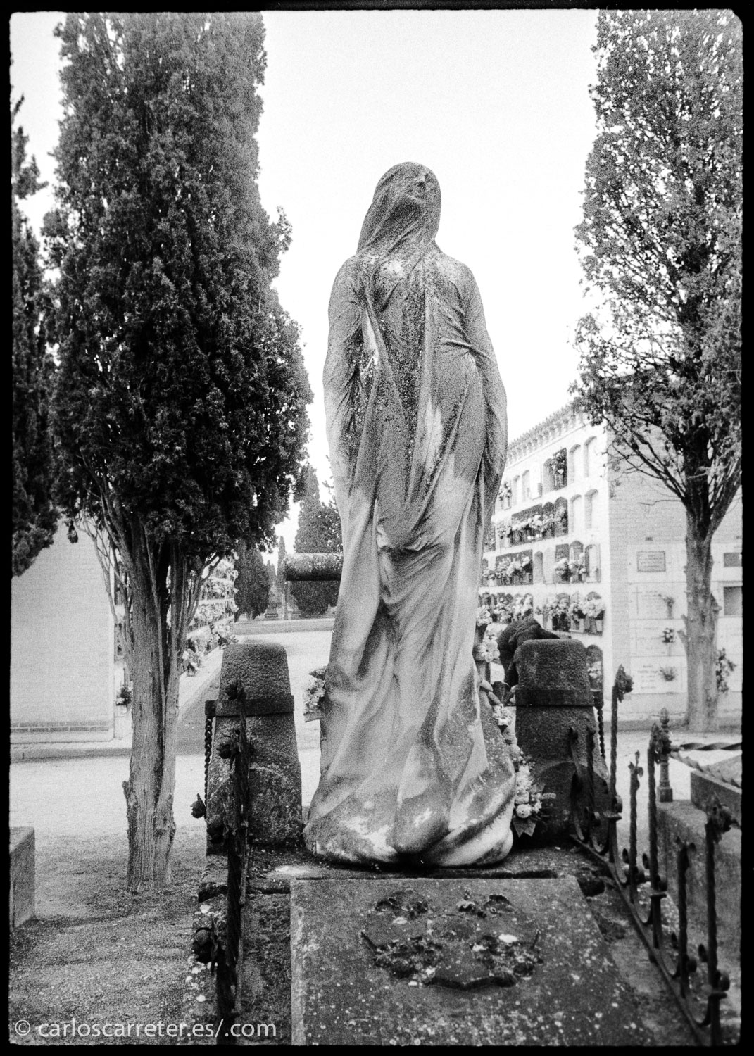 Buena parte de la acción de la película se rueda en un cementerio o en torno a un funeral; la muerte esta presente constantemente en este filme. Así que lo ilustraré con unas fotografías que tomé en el cementerio de Torrero en Zaragoza hace unas semanas, bajando de un velatorio.