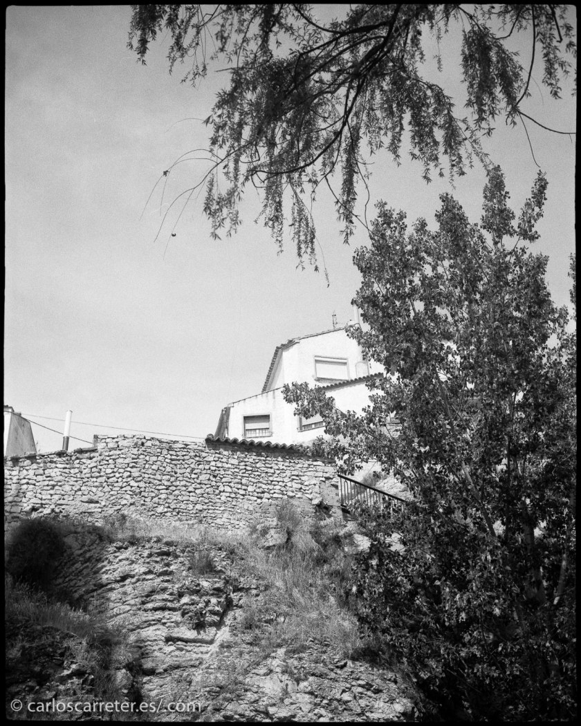 20170425-20170423-LG100-HC100025