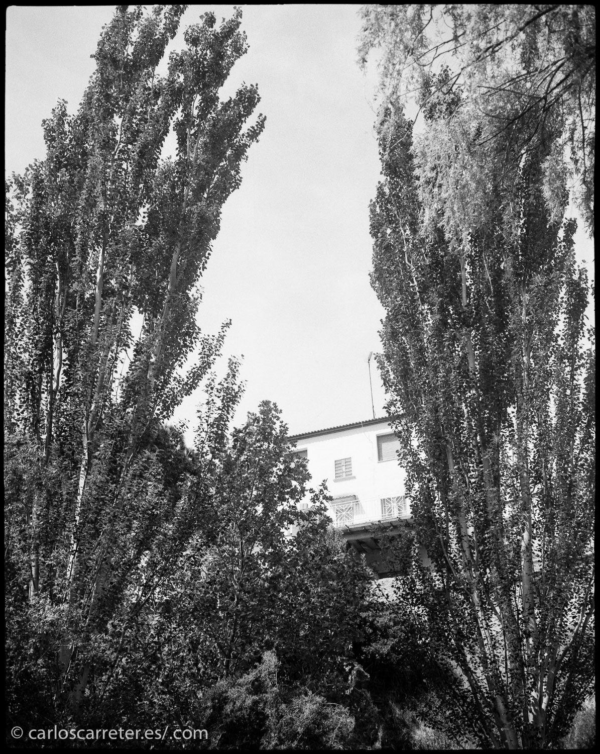 20170425-20170423-LG100-HC100027