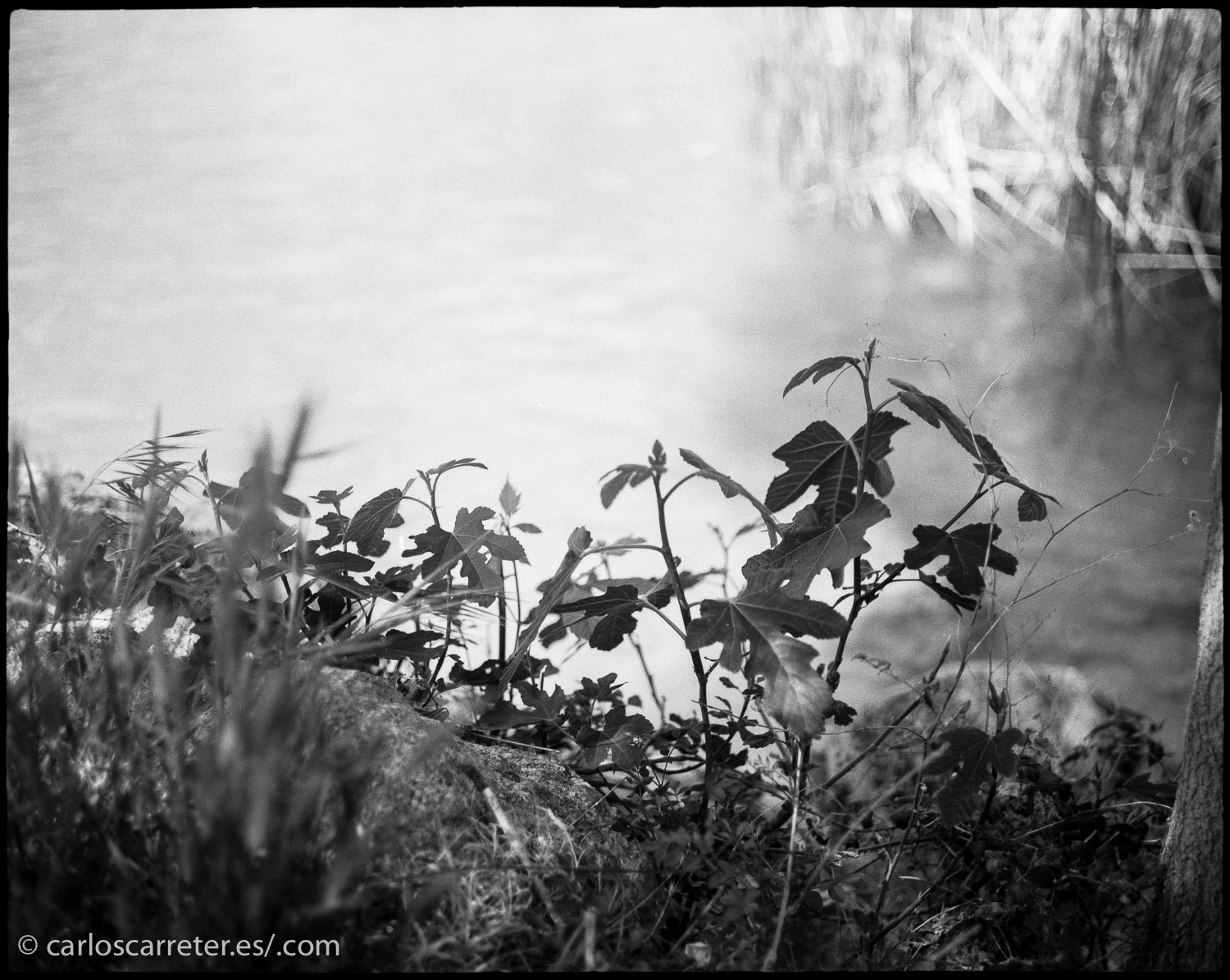 20170425-20170423-LG100-HC100029