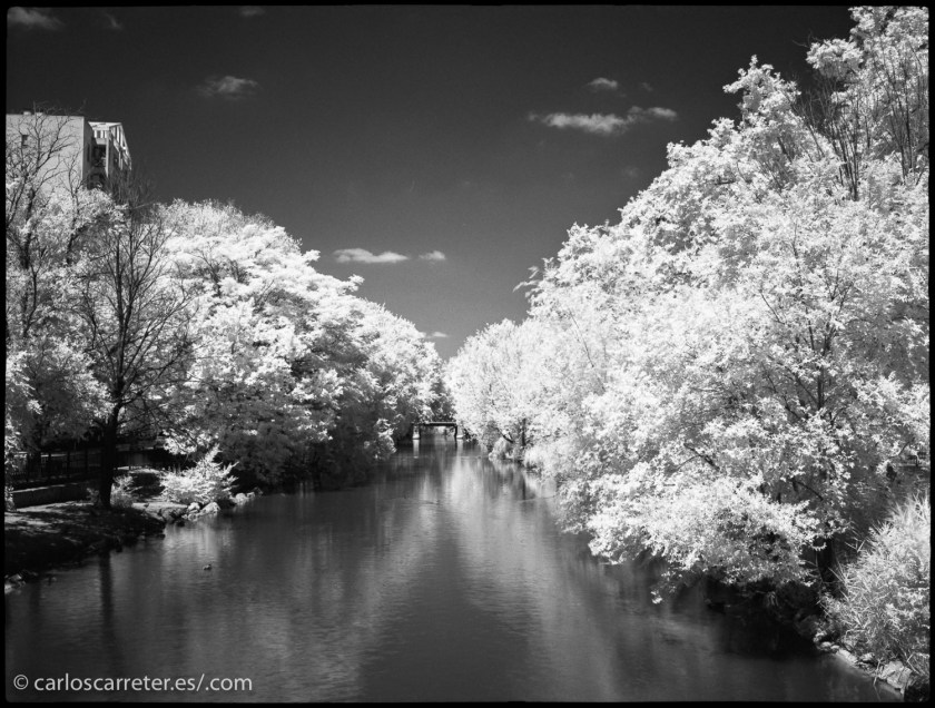 20170607-SuperpanIR+HC110-010