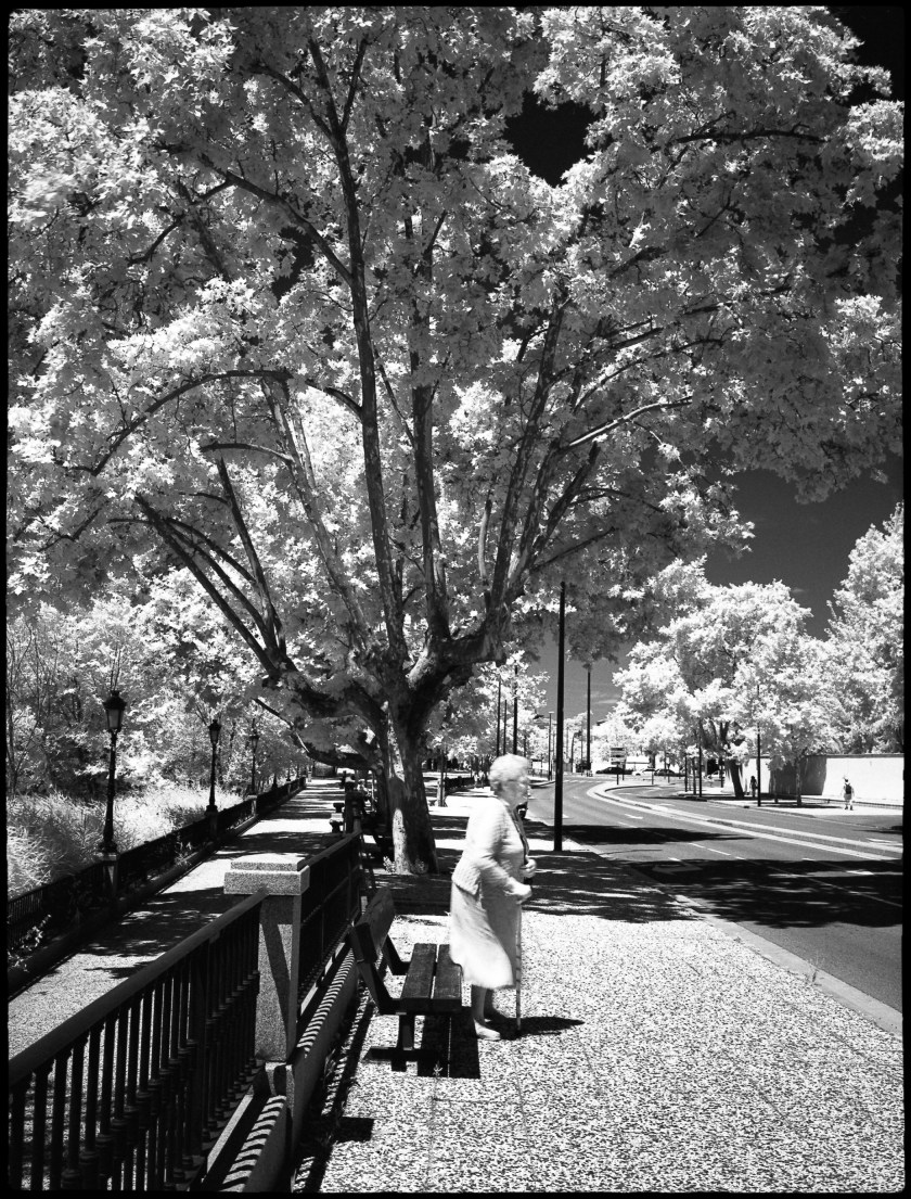 20170607-SuperpanIR+HC110-013