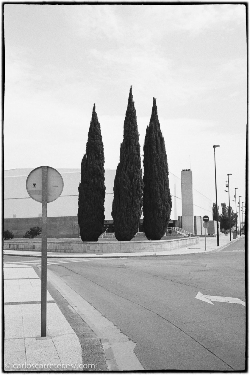 20170702-Silvermax+rodinal1.50-037