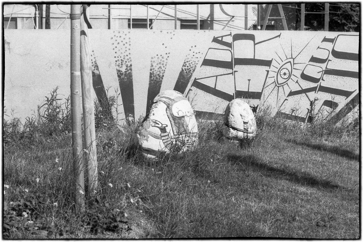 20170713-DblX+rod1.100-017