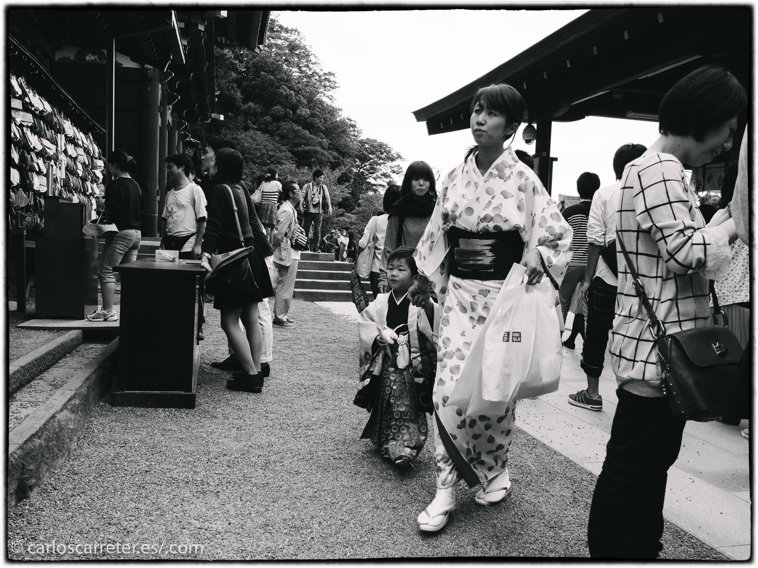 Tsurugaoka Hachimangu - Kamakura