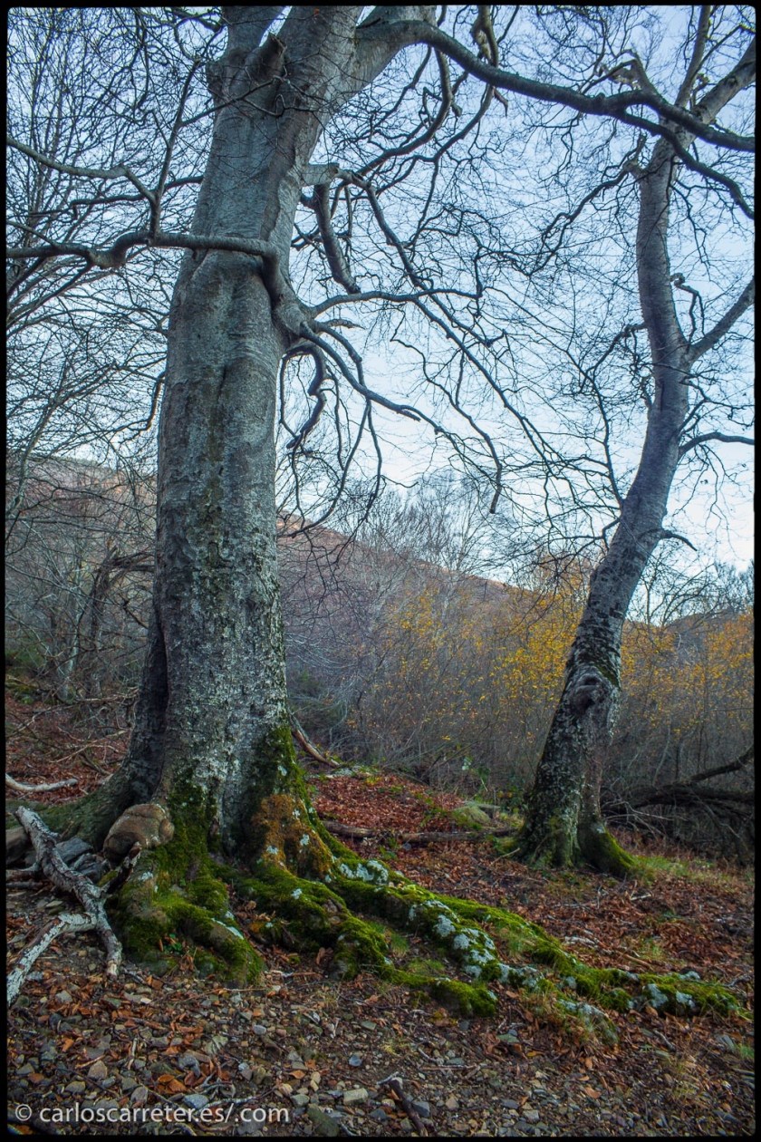 tumblr_olfqow3KGN1r5mrsgo1_1280