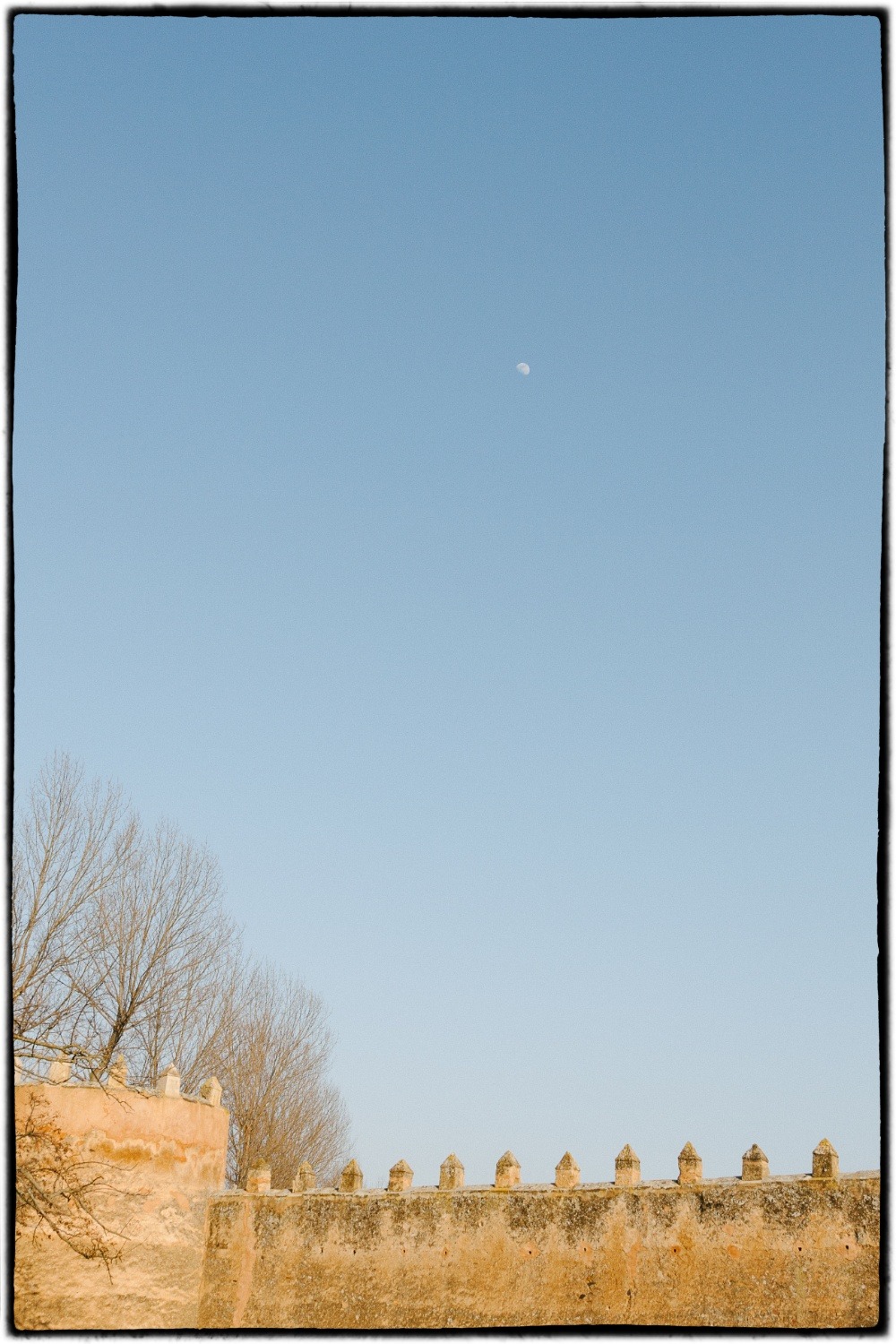 tumblr_otyrt79hfN1r5mrsgo1_1280