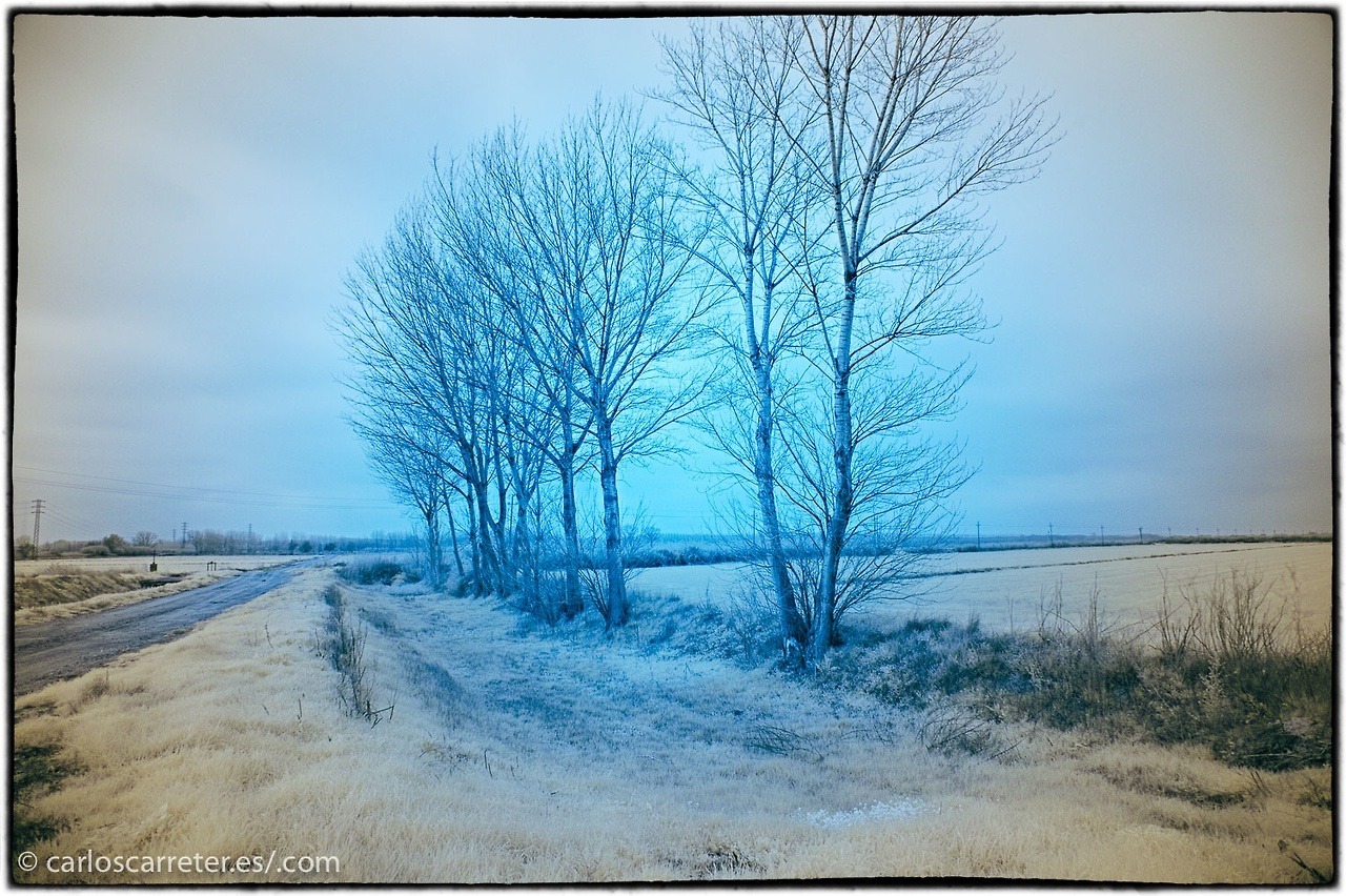 tumblr_p1fkrodP991r5mrsgo1_1280