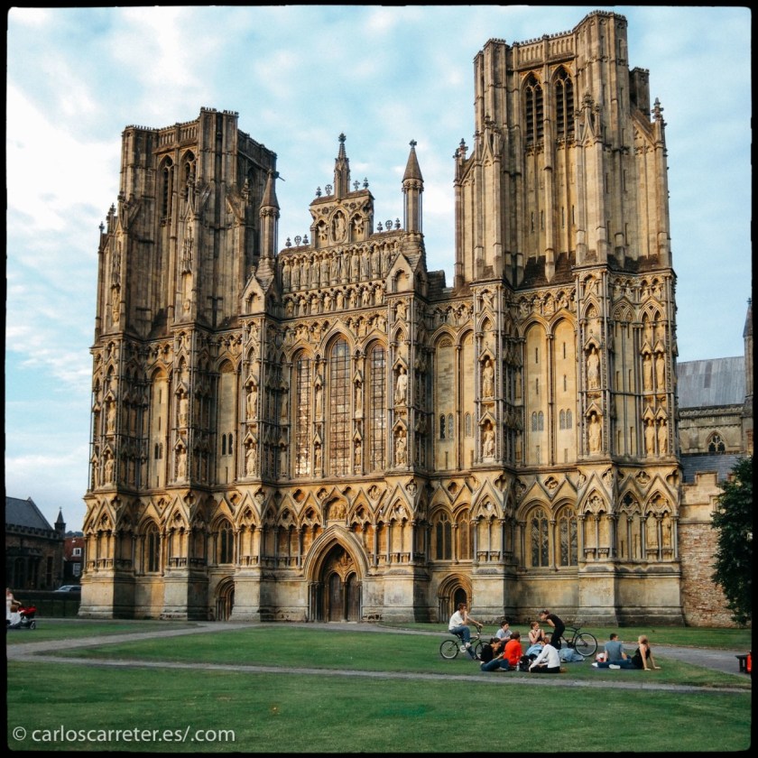 tumblr_oktcomVumY1r5mrsgo1_1280