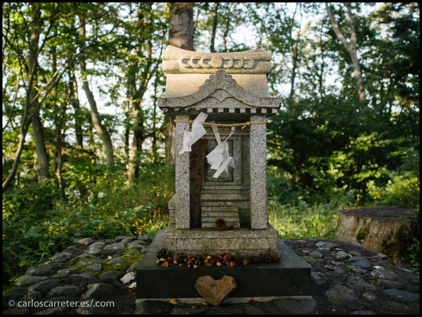 Santuario en el Monte Tenjo - Kawaguchiko
