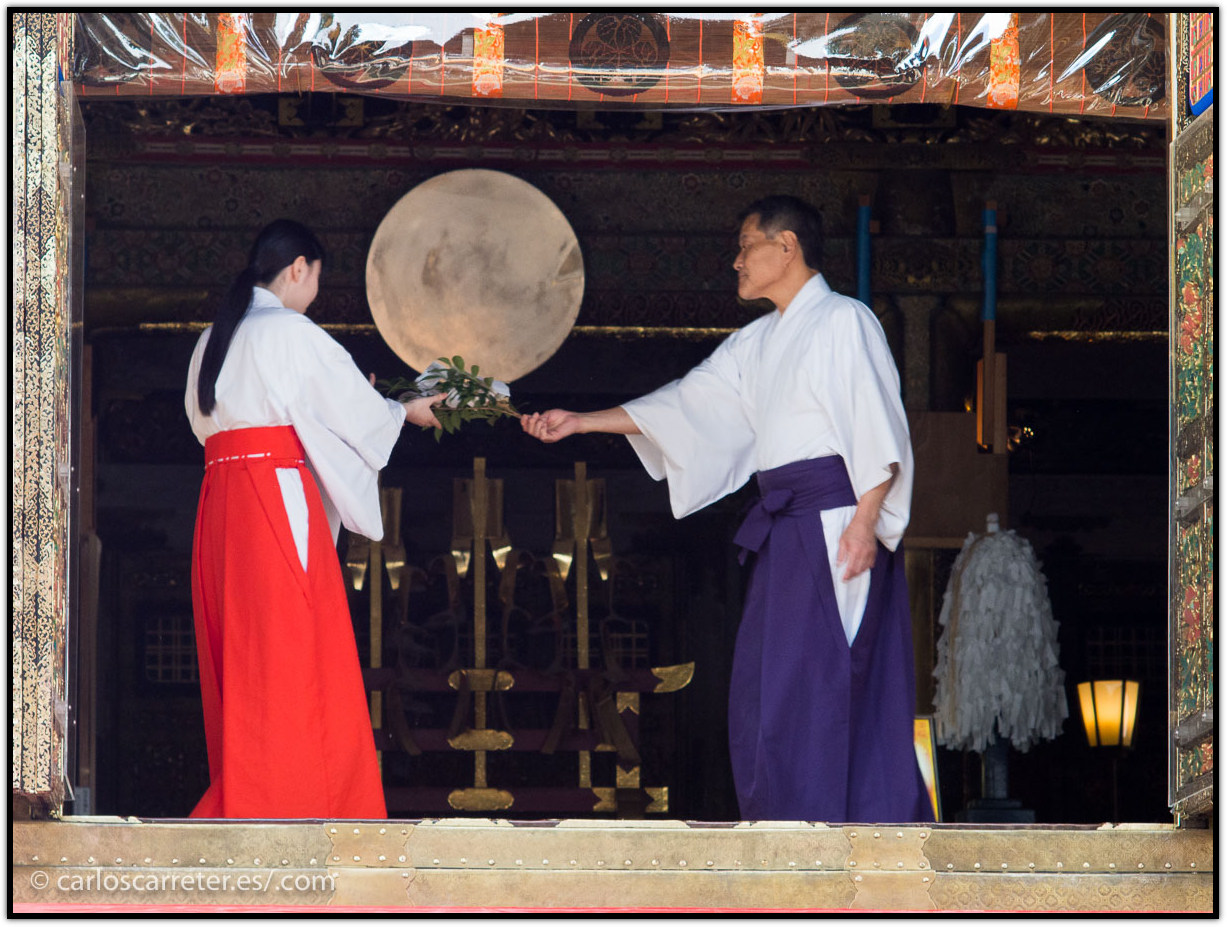Toshogu - Nikko