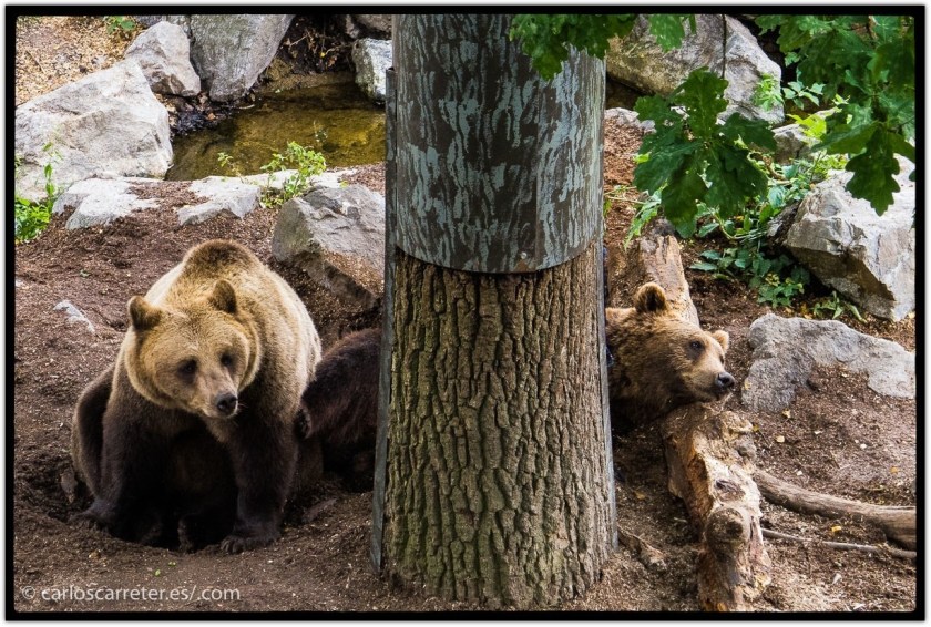 tumblr_ohrb51wHIh1r5mrsgo1_1280