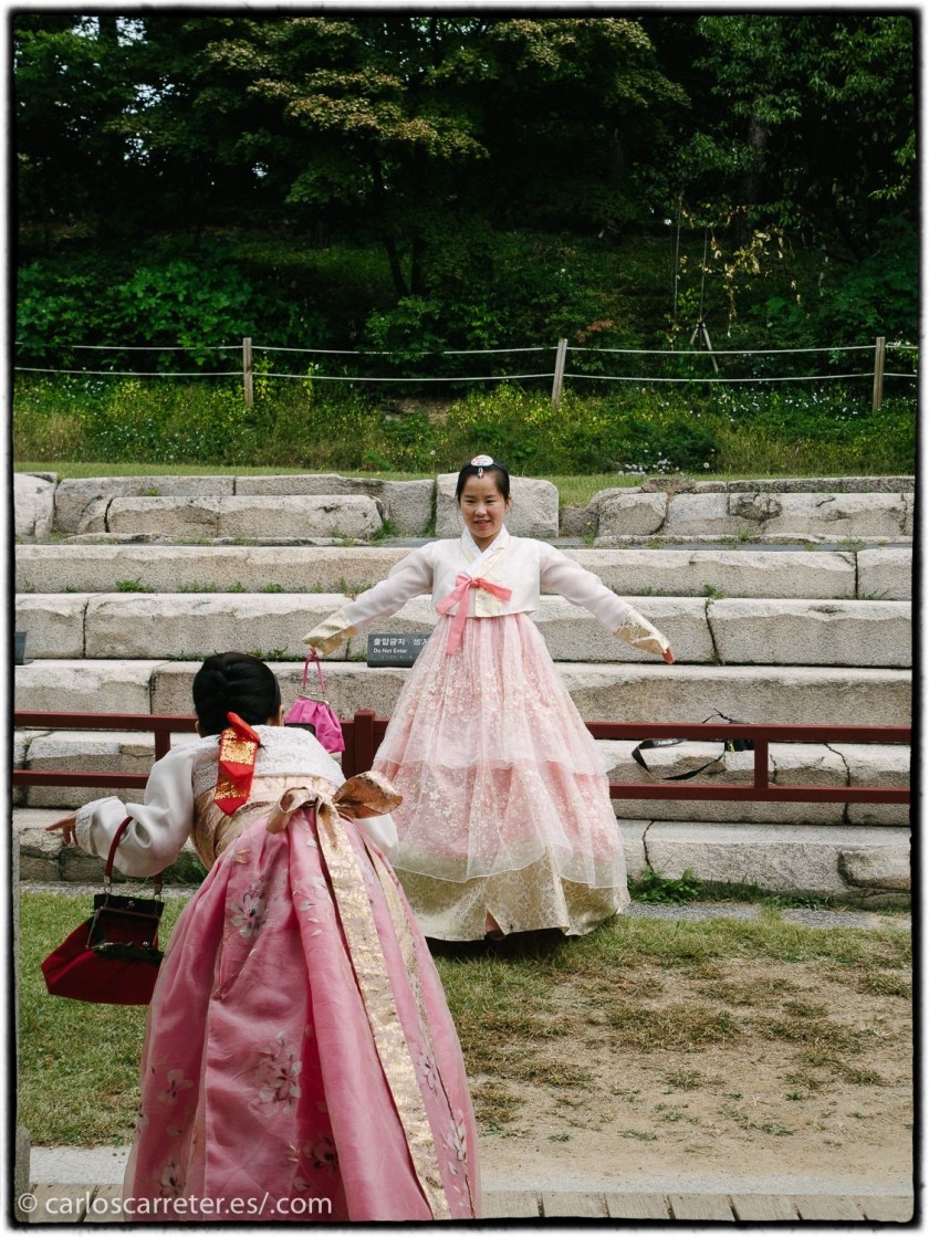 tumblr_oxr350eT6x1r5mrsgo1_1280