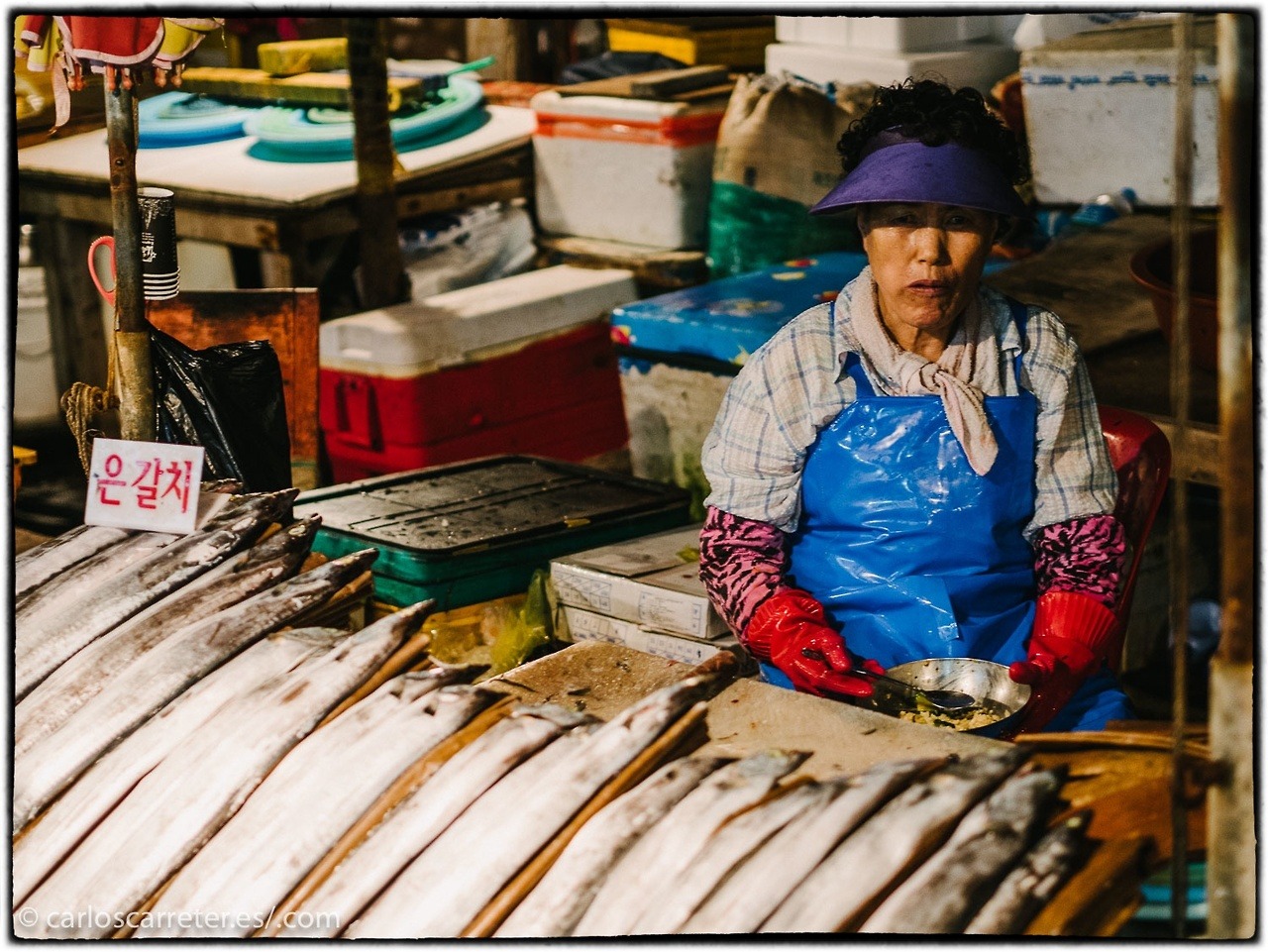 tumblr_oxr3eoLto21r5mrsgo1_1280