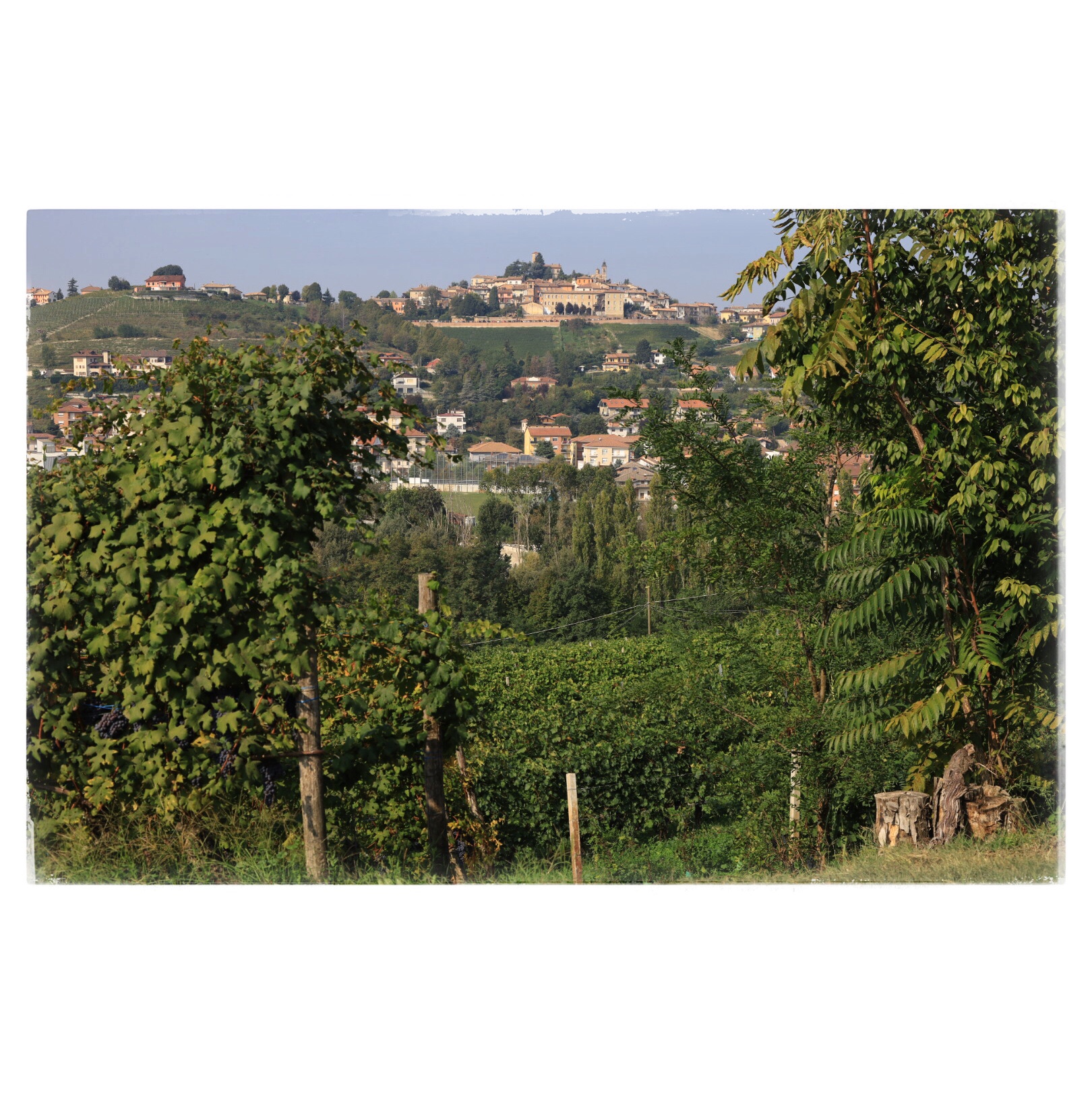 [Viaje] Neive, Alba y Bra, Italia – Cuaderno de Ruta V. 3.0